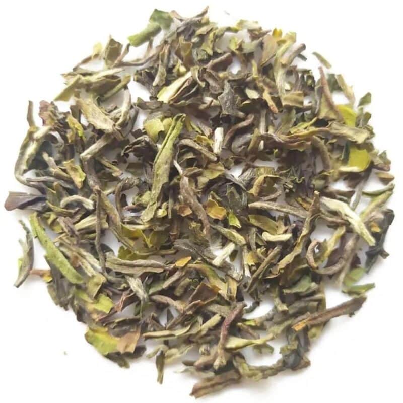 Darjeeling Samabeong 1° colore